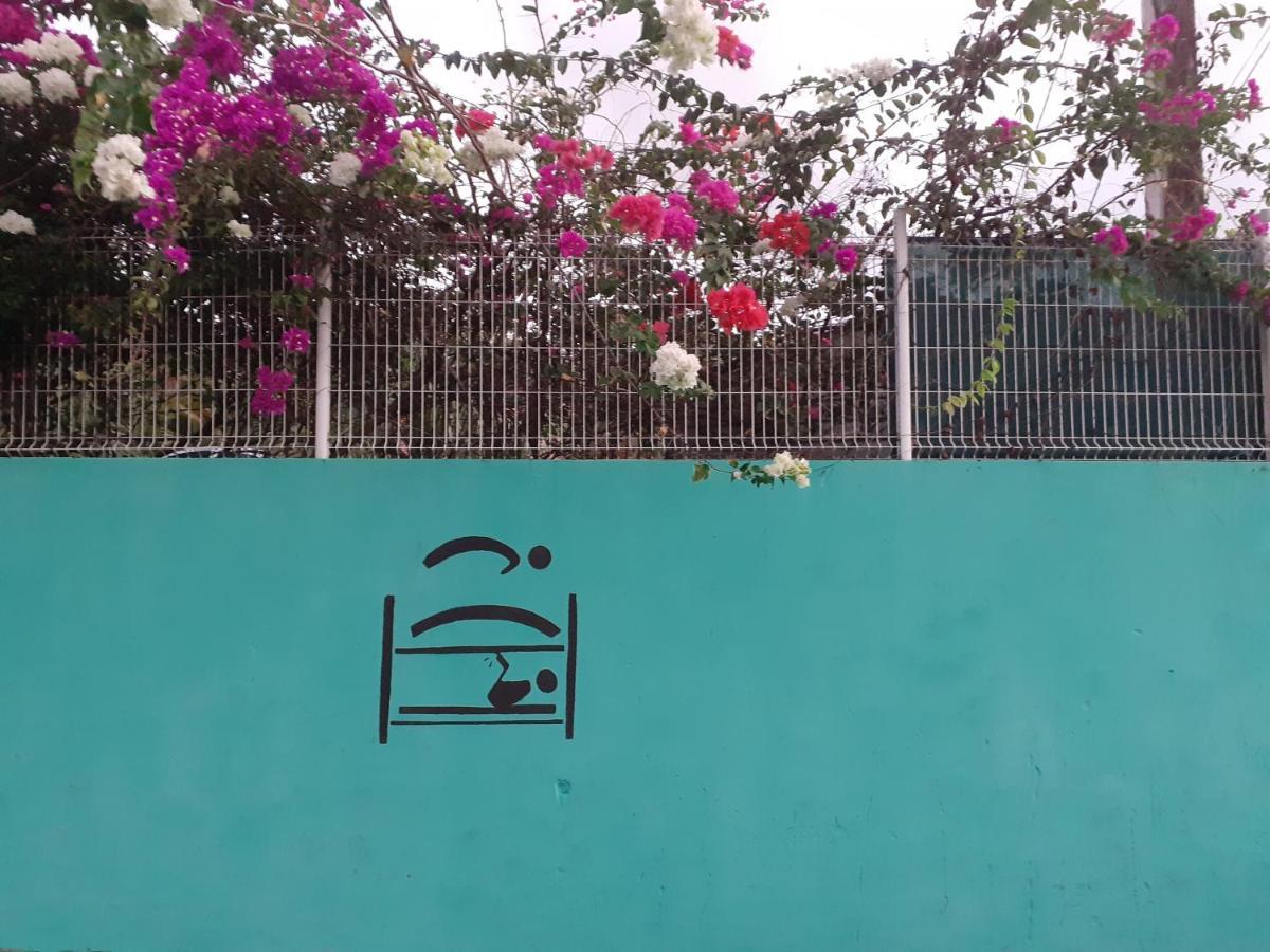 Martinique Hostel Sainte-Luce Ngoại thất bức ảnh